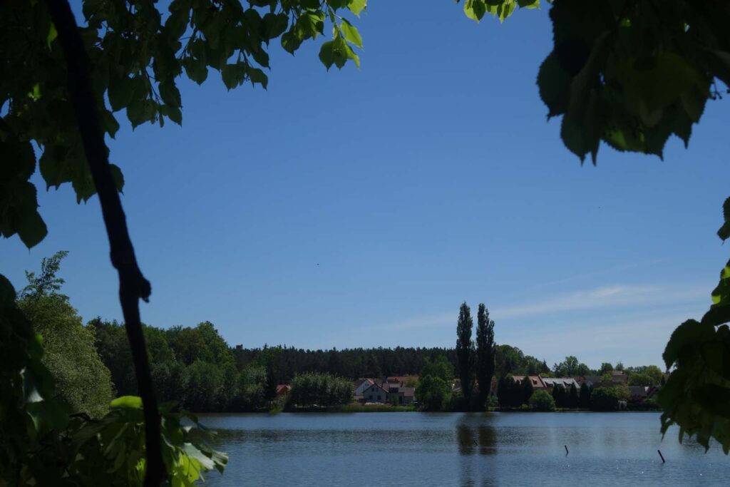 Pohled na rybník v Třeboni