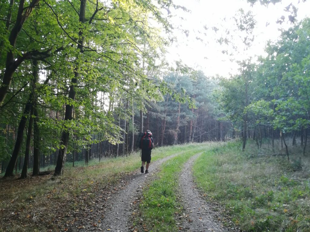 Cesta směr Zřícenina hradu Kožlí. Zámek konopiště. Spaní pod širákem v Týnci nad Sázavou a Benešově. Spaní pod širým nebem v pohádkové krajině. Pohádkové výlety.